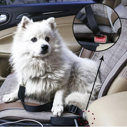 Comfortable Pet Car Harness Seatbelt