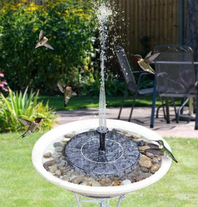 Sunny Solar Powered Bird Fountain