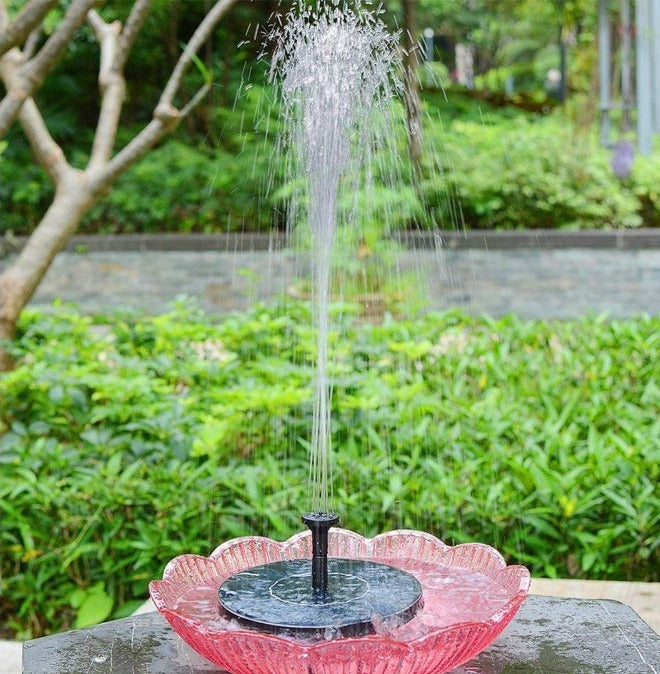 Sunny Solar Powered Bird Fountain