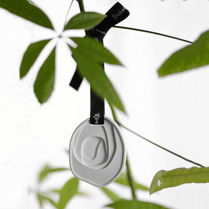 Strong Scented Air Freshener For Car And Home