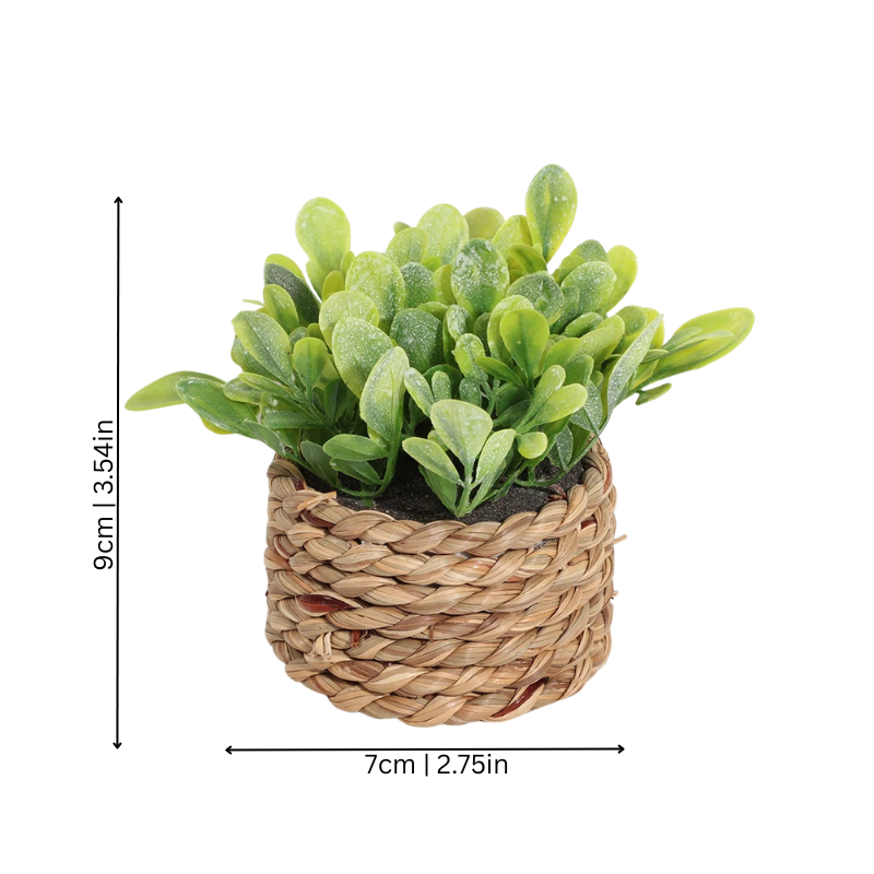 Elegant Green Table Lamp