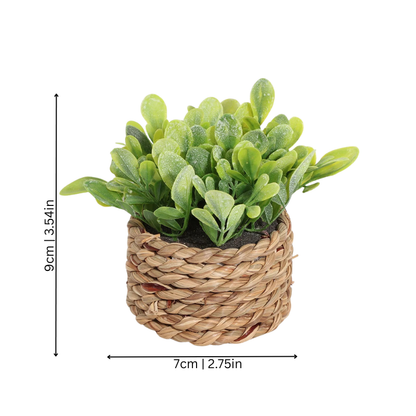 Elegant Green Table Lamp