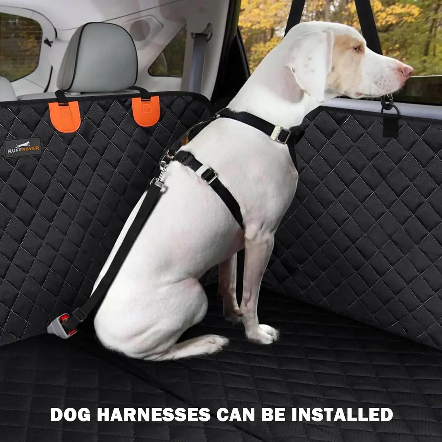 Portable Pet Bench for Dogs