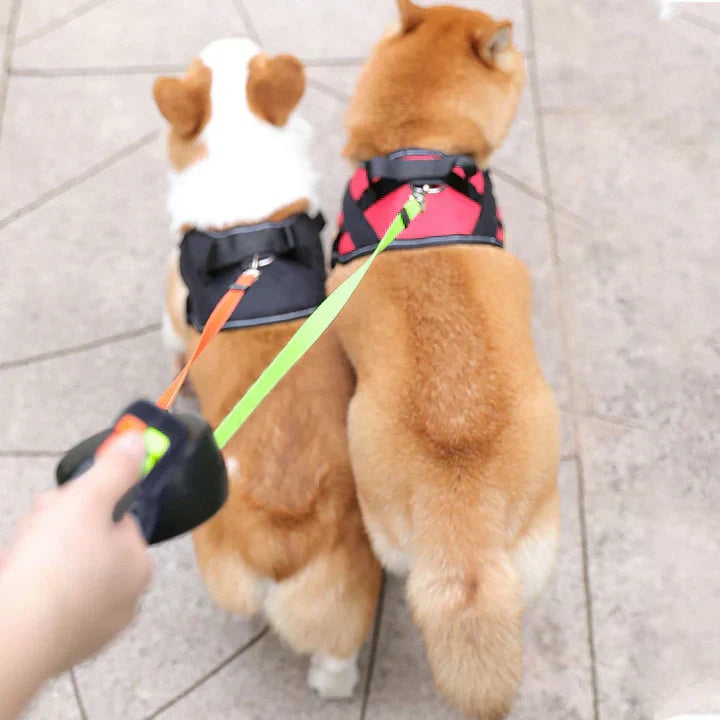 Easy Walk Dog Leash with Tangle Free Design