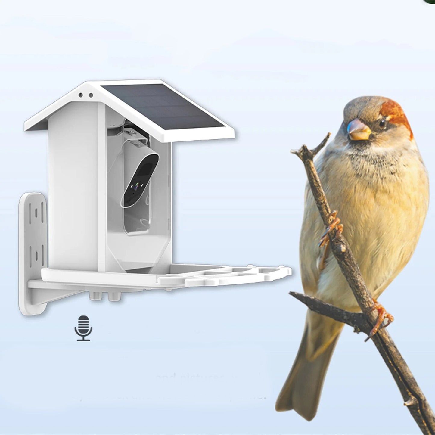 Intelligent Solar Bird Feeder with Camera