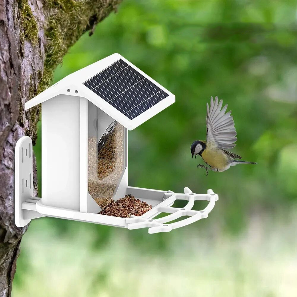 Intelligent Solar Bird Feeder with Camera