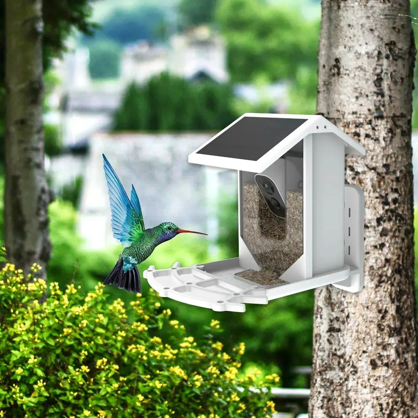 Intelligent Solar Bird Feeder with Camera