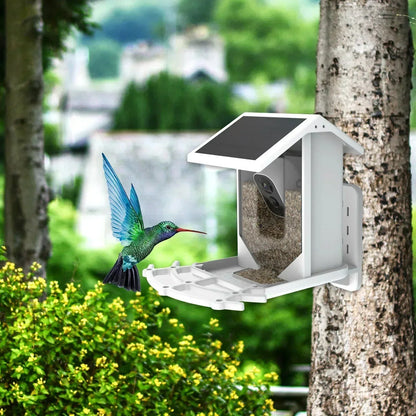 Intelligent Solar Bird Feeder with Camera