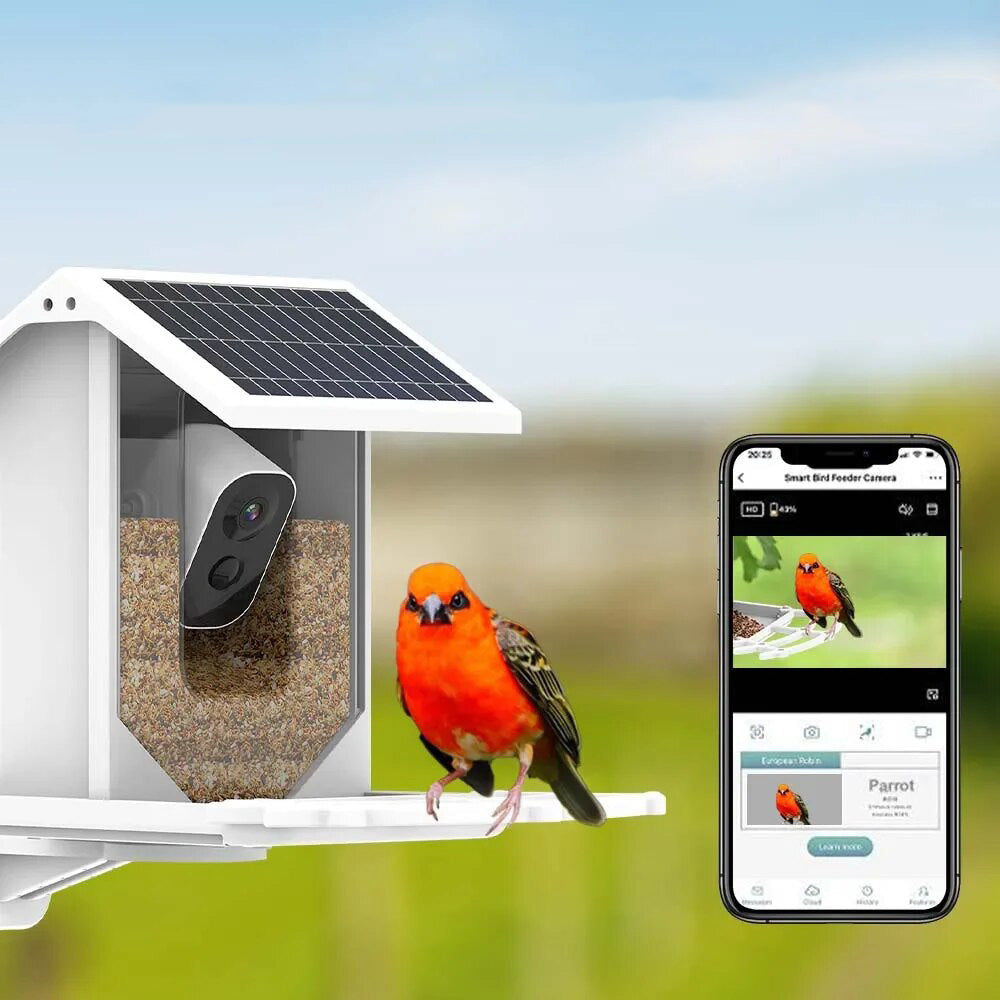 Intelligent Solar Bird Feeder with Camera - Befez
