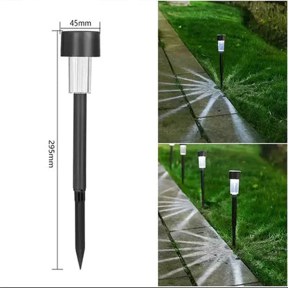 Ambient Outdoor Solar Garden Lights