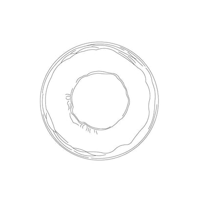 Round Glass Modern Wall Light