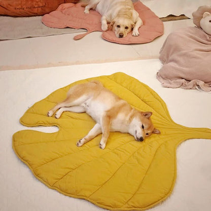 Cozy Pet Blanket - Soft Plush Throw for Dogs - Befez