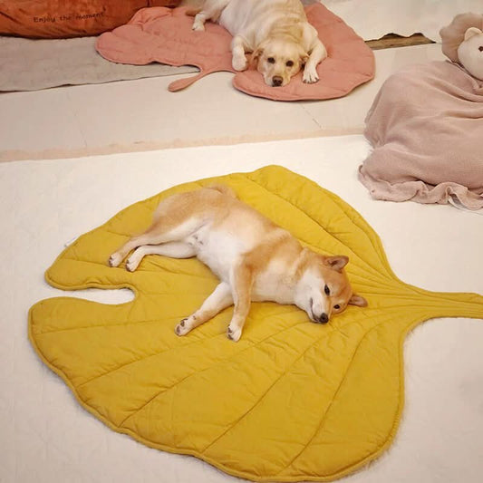 Cozy Pet Blanket - Soft Plush Throw for Dogs - Befez