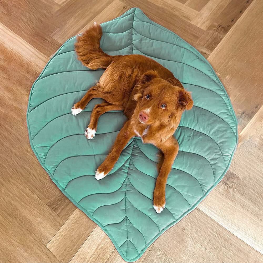 Cozy Pet Blanket - Soft Plush Throw for Dogs