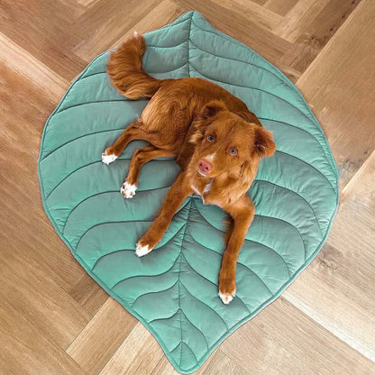 Cozy Pet Blanket - Soft Plush Throw for Dogs