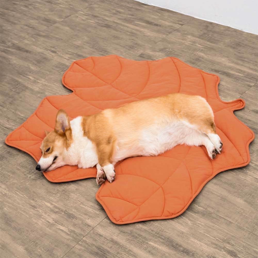 Cozy Pet Blanket - Soft Plush Throw for Dogs