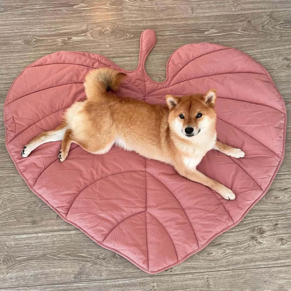 Cozy Pet Blanket - Soft Plush Throw for Dogs