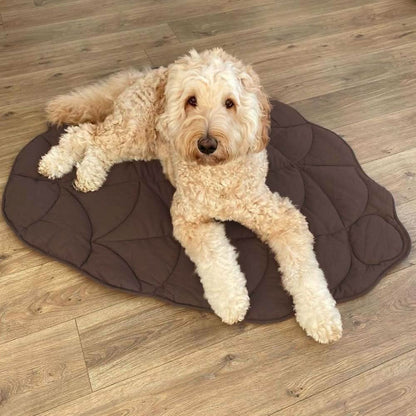 Cozy Pet Blanket - Soft Plush Throw for Dogs