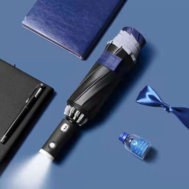 Waterproof Compact Folding Umbrella - Befez
