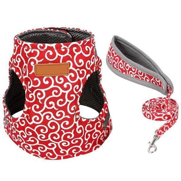 Comfortable Kitty Walking Harness Set
