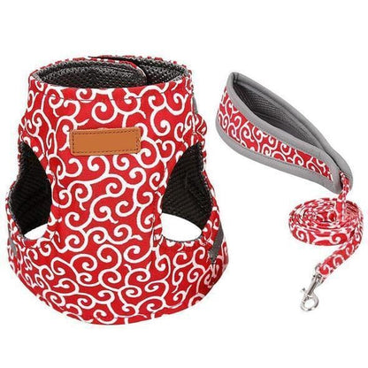 Comfortable Kitty Walking Harness Set