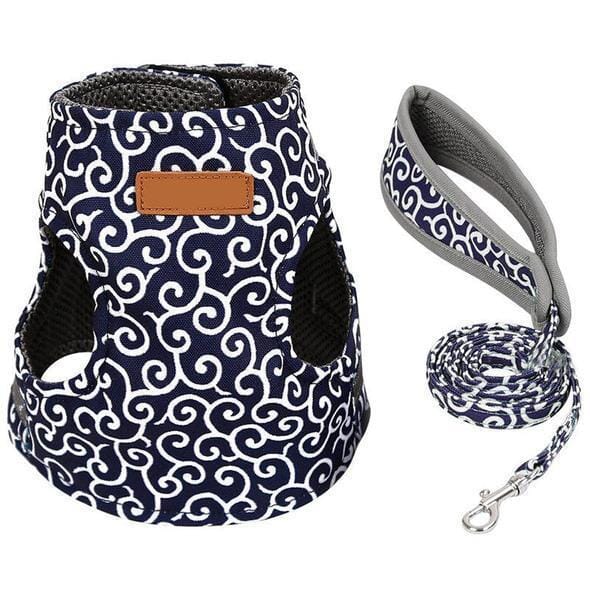 Comfortable Kitty Walking Harness Set
