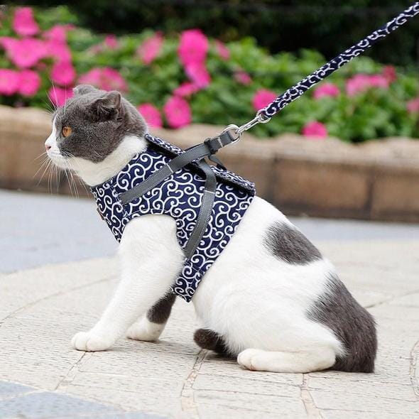 Comfortable Kitty Walking Harness Set
