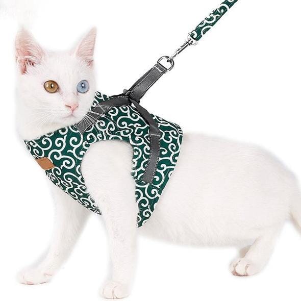Comfortable Kitty Walking Harness Set