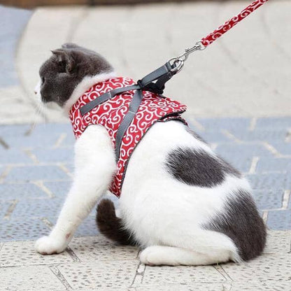 Comfortable Kitty Walking Harness Set