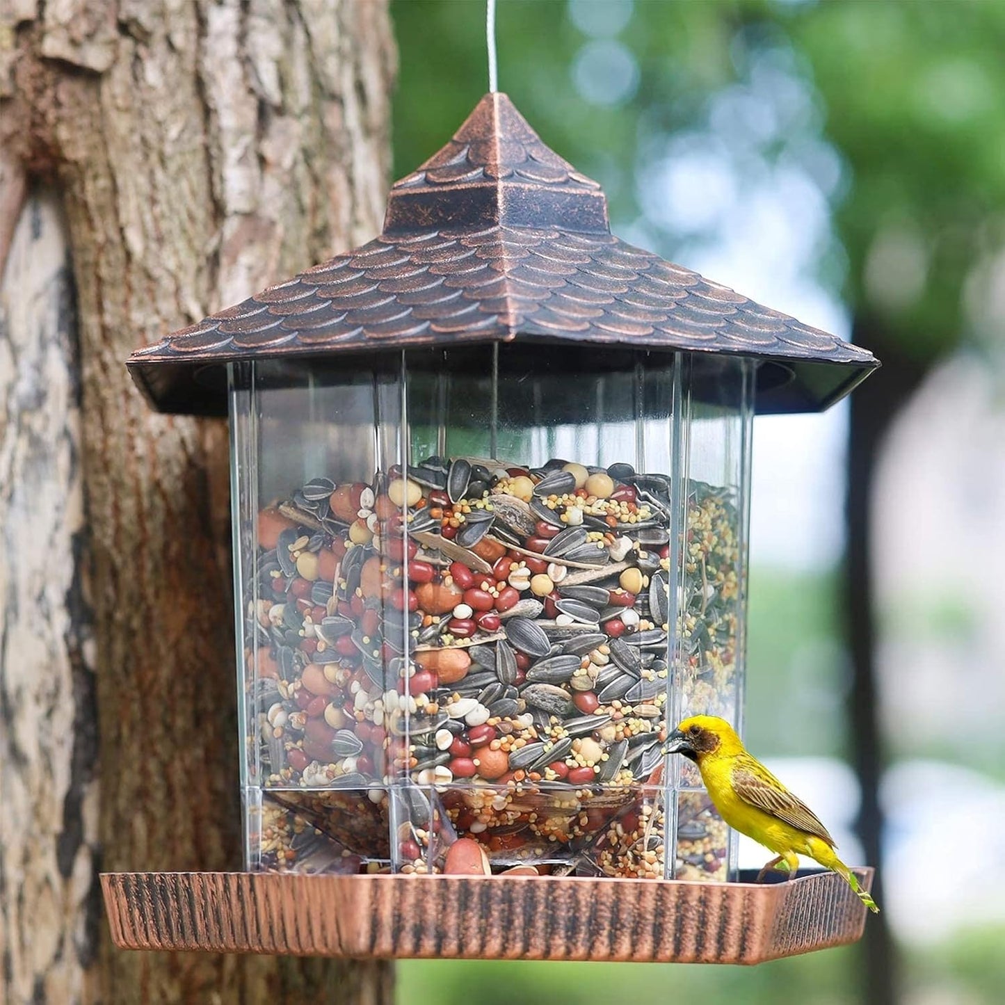 Befez | Garden Bird Feeder with Metal Roof