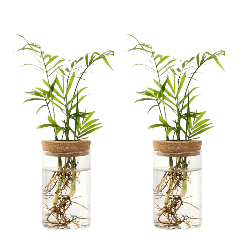 Bright Floral Befez Planter - Befez