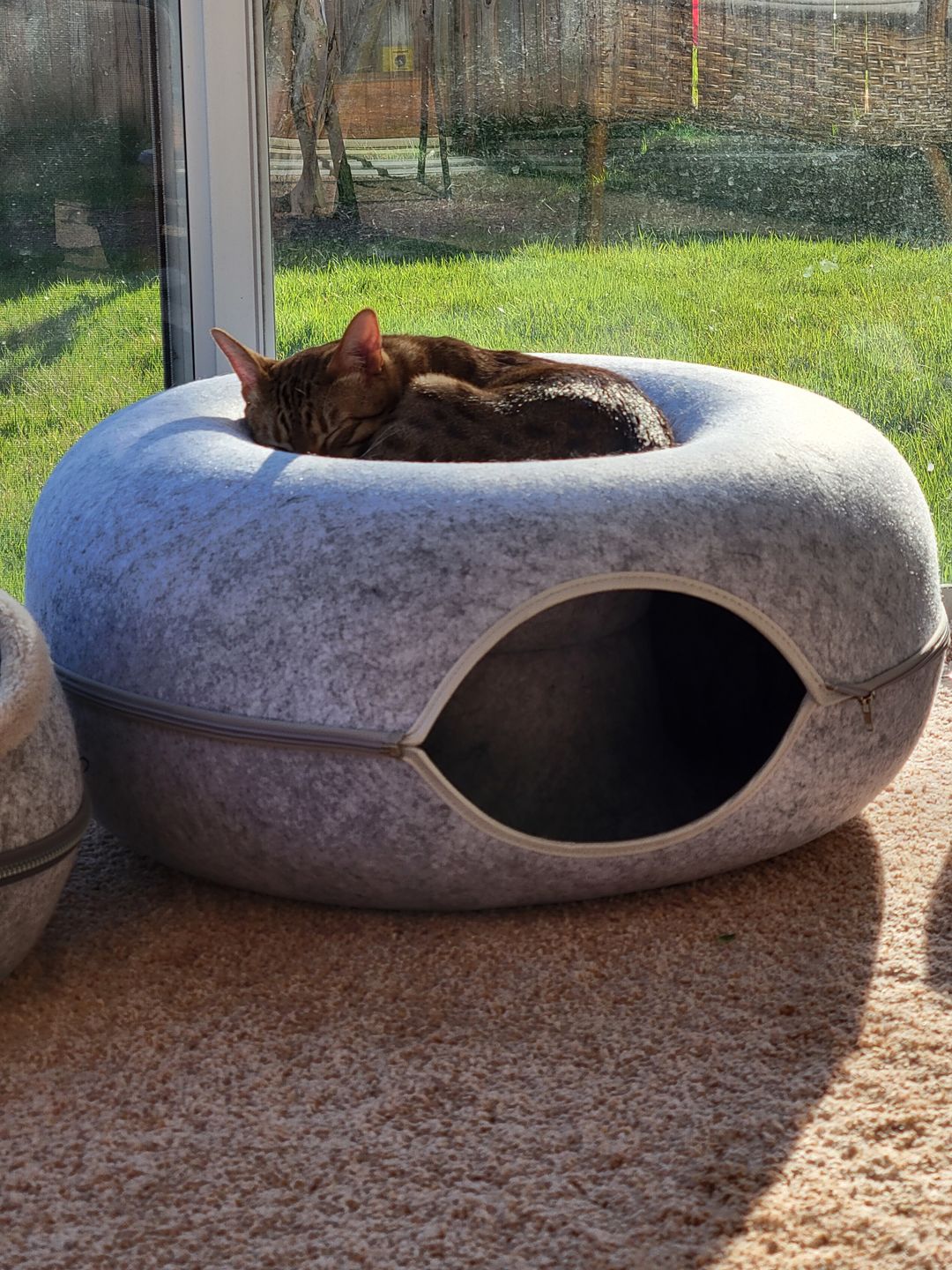 Cozy Cat Tunnel with Plush Sleeping Area