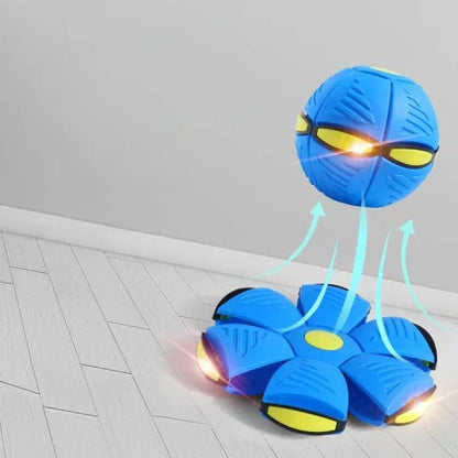 Fun Interactive Dog Toy