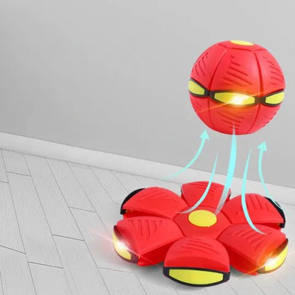 Fun Interactive Dog Toy