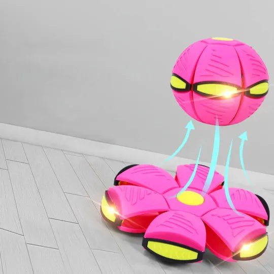 Fun Interactive Dog Toy