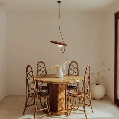 Stylish LED Hanging Light