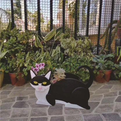 Adorable Cat Planter Pot Kit