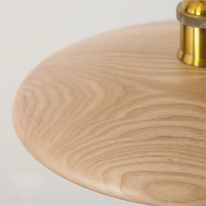Stylish Wooden Pendant Light Glass LED Ceiling Lamp