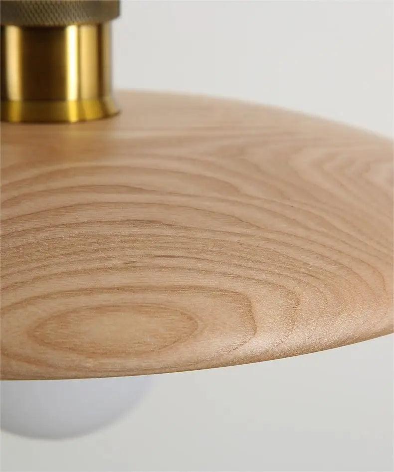 Stylish Wooden Pendant Light Glass LED Ceiling Lamp