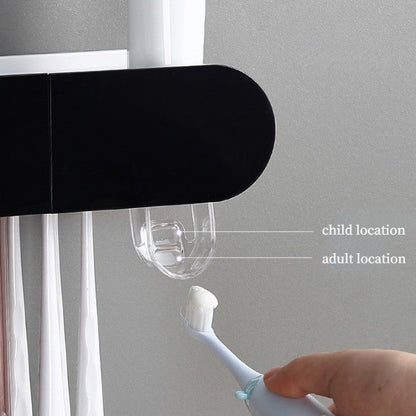 Compact Wall Mounted Shelf Storage Organizer
