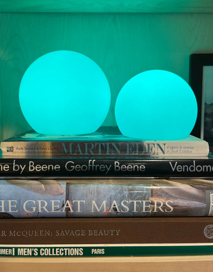 Portable LED Desk Lamp