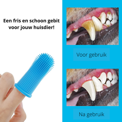 Easy Pet Dental Care Kit for Home Use
