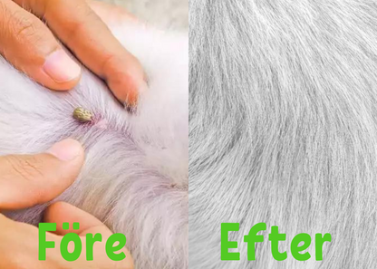 Flea & Tick Guard Collar for Pets
