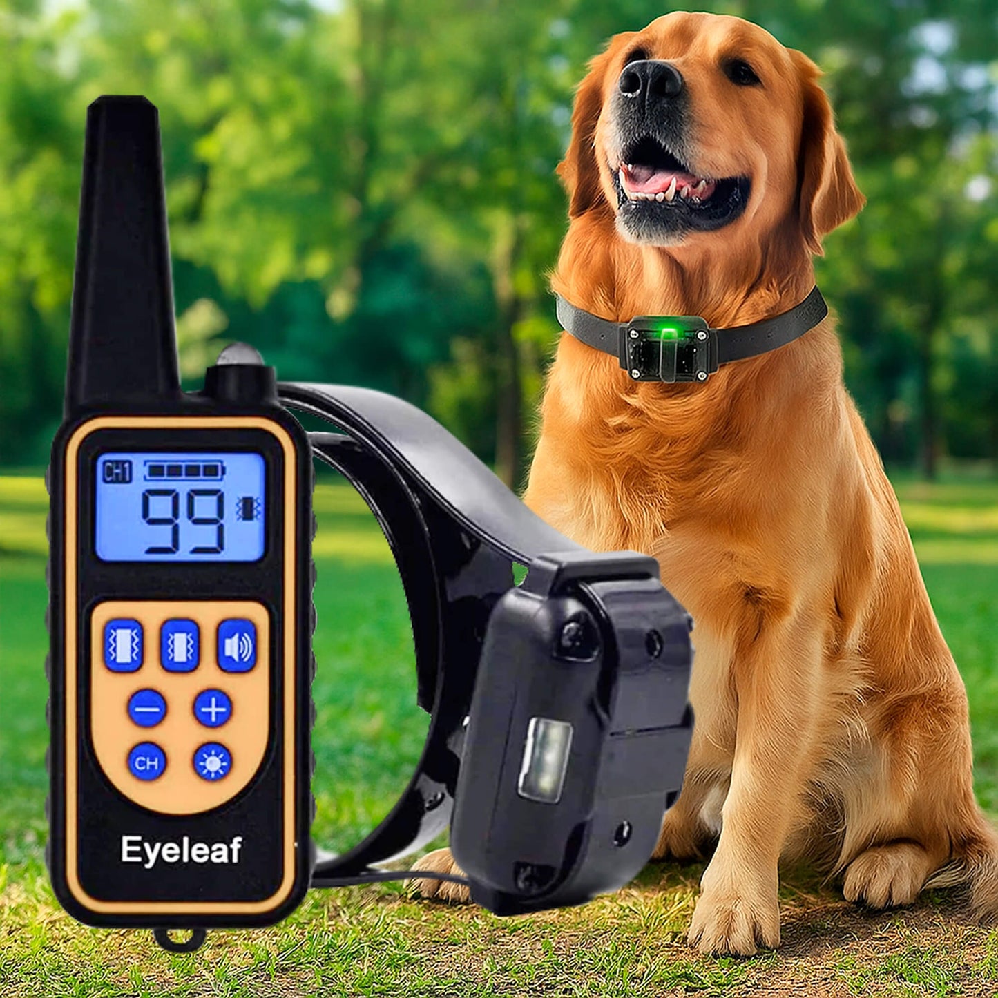 Befez Rechargeable Waterproof Dog Training Collar