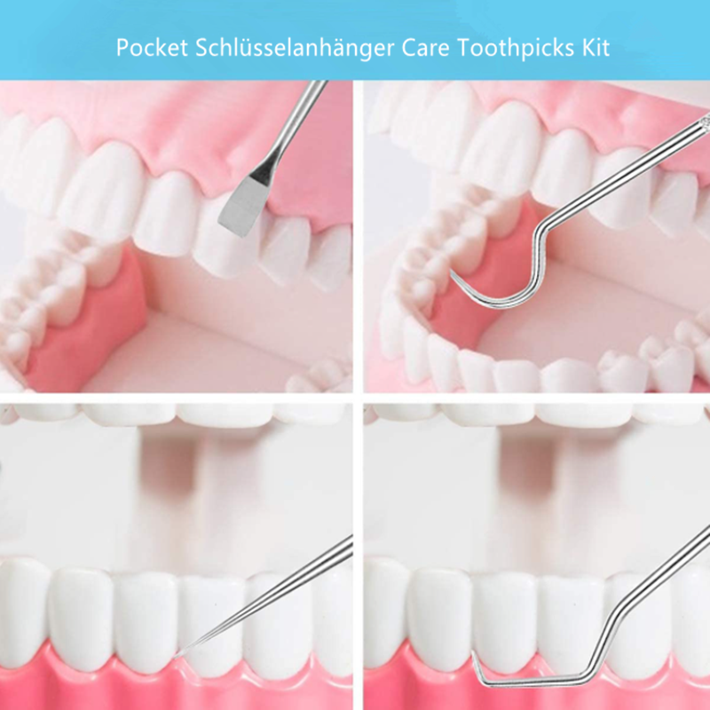 Premium Metal Toothpicks 7 Piece Set