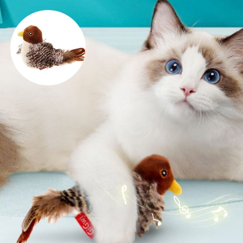 Fun Feather Teaser Toy