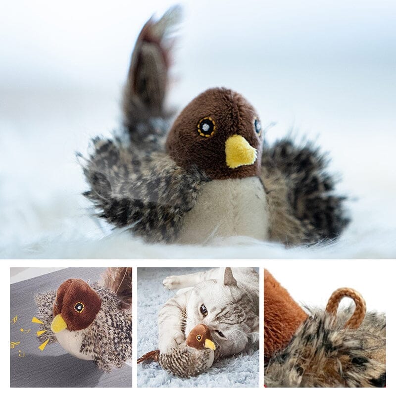 Fun Feather Teaser Toy