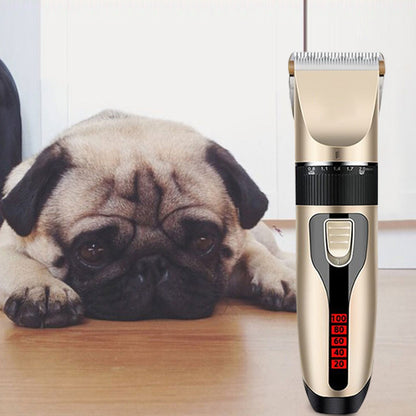 Premium Pet Grooming Tool Set