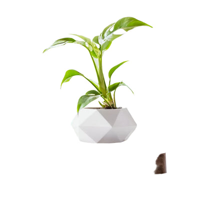 Spinning Geometric Planter Box Decor - Befez