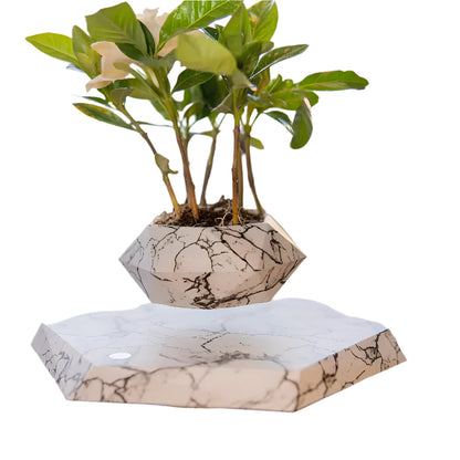 Spinning Geometric Planter Box Decor